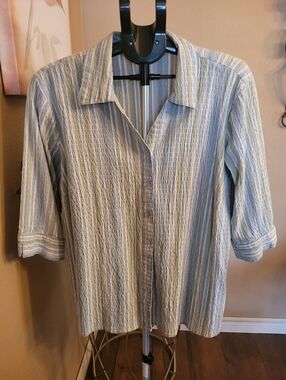 Carroll Reed Casual Striped Button Down Shirt - Blue and Green